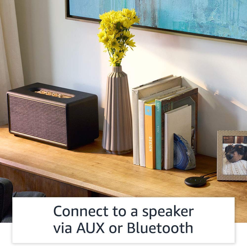Alexa, Echo Input, Bring Alexa to your own speaker, Black