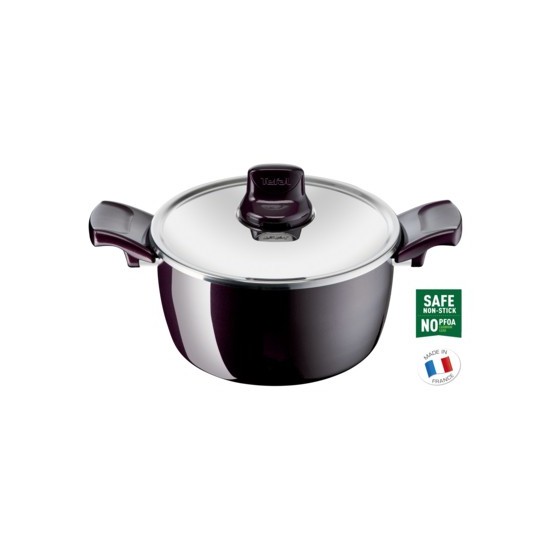 Tefal, Faitout Resist Intense Stewpot, 22 CM, Dark Red