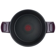Tefal, Faitout Resist Intense Stewpot, 22 CM, Dark Red