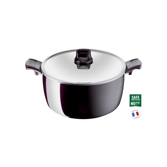 Tefal, G6 Faitout Resist Intense Stewpot, 30 CM + CV, Dark Red