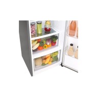 LG One Door Fridge Smart Inverter 384(L)