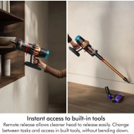 Dyson V16 Animal Piston