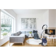 Hoover Brave Canister Vacuum