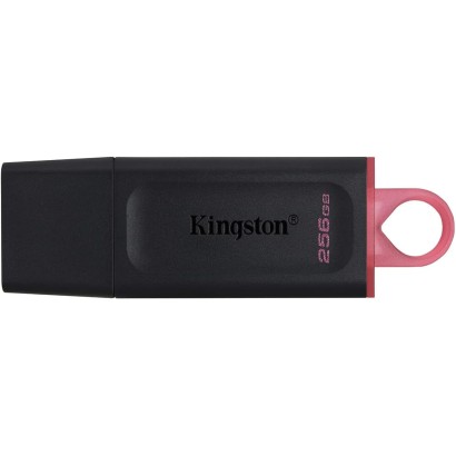 Kingstone USB Flash Drive, 256 GB