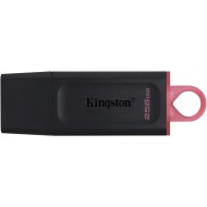 Kingstone USB Flash Drive, 256 GB
