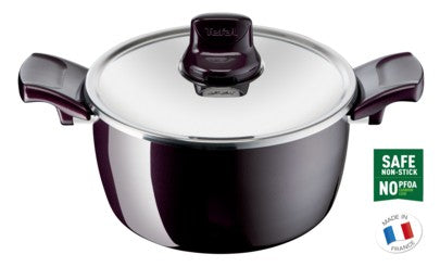 Tefal, Faitout Resist Intense Stewpot, 22 CM, Dark Red