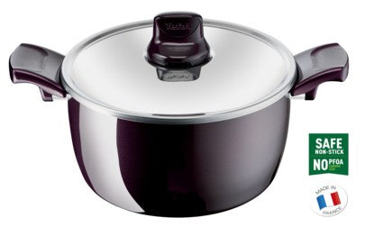 Tefal, G6 Faitout Resist Intense Stewpot, 24 CM + CV, Dark Red