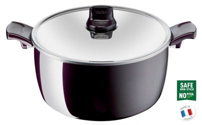 Tefal, G6 Faitout Resist Intense Stewpot, 30 CM + CV, Dark Red