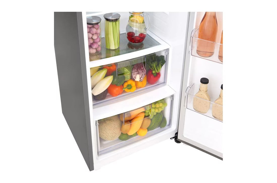 LG One Door Fridge Smart Inverter 384(L)
