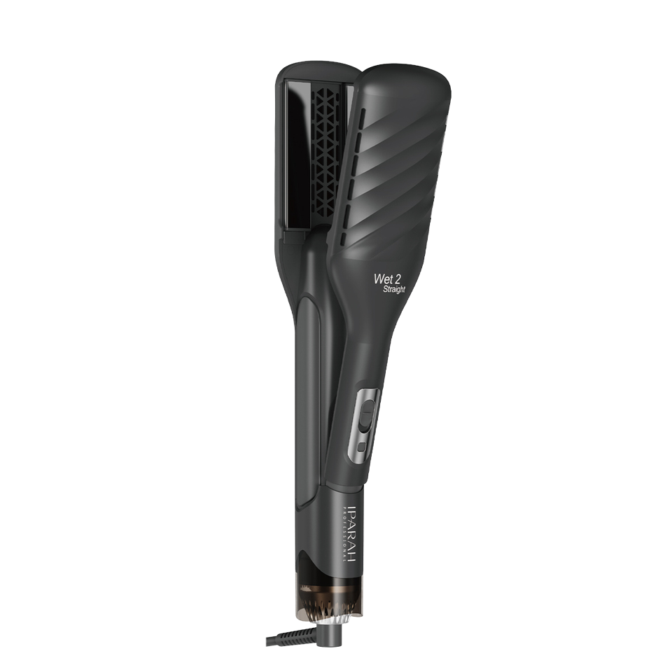 IPARAH 2 In 1 Dry & Straight Hair Negative ION Professional Hot Air Styler