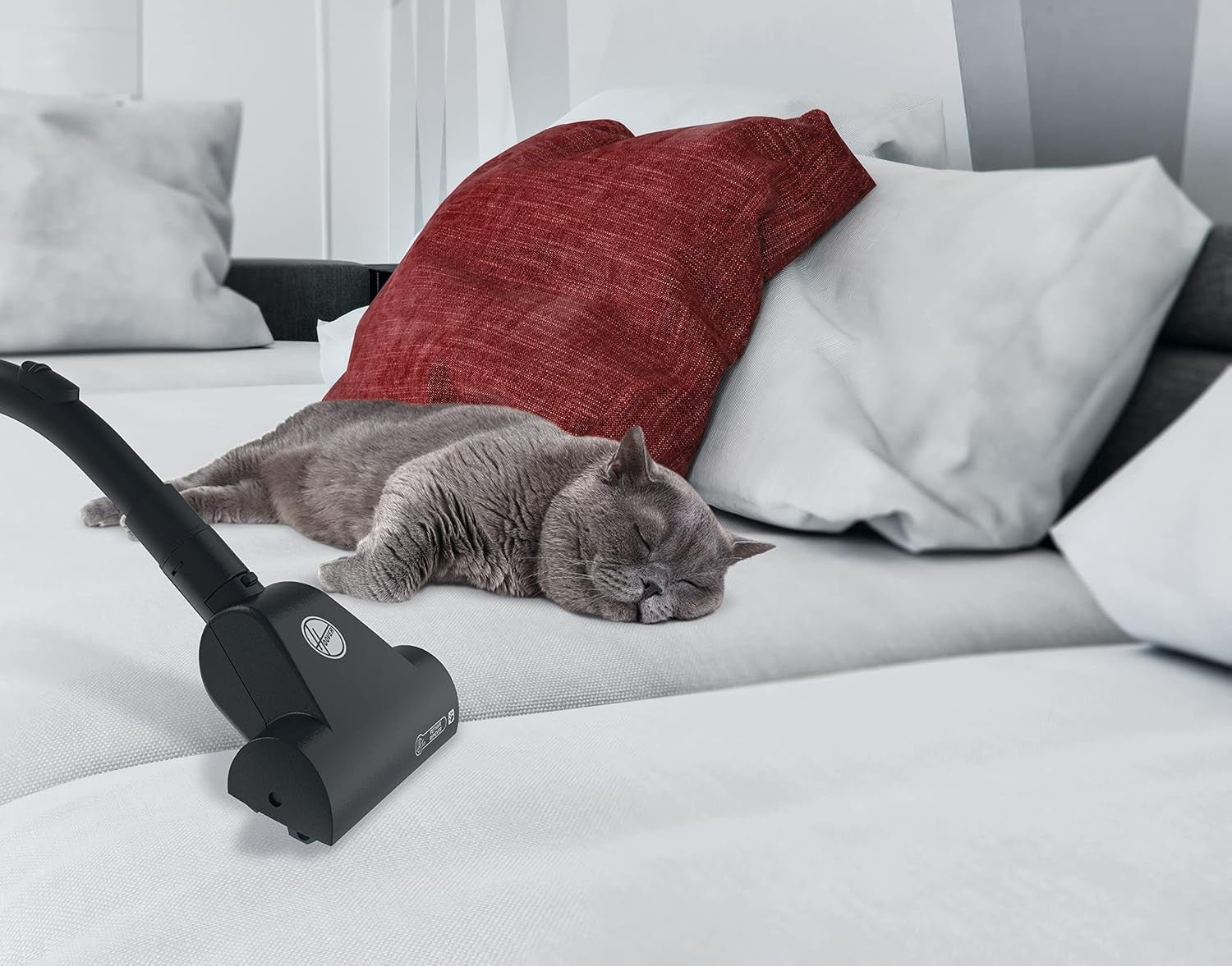 Hoover Brave Canister Vacuum